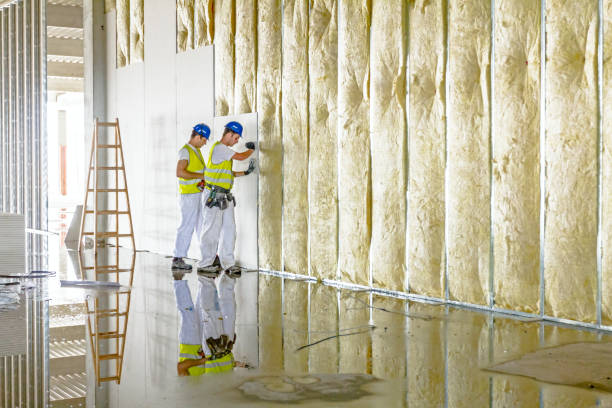 Best Local Insulation Services  in Owingsville, KY